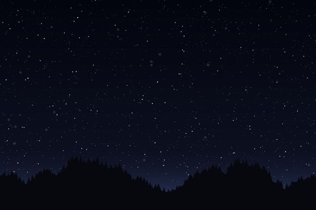 Winterlicher Sternenhimmel über dem Wald